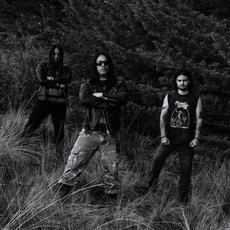 Hell Trepanner Music Discography