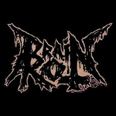Brain Rot Music Discography