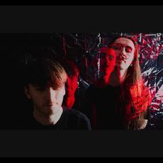 Vain Valkyries Music Discography