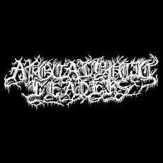 Apocalyptic Leaders Music Discography
