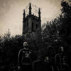 Aggressive Perfector Music Discography