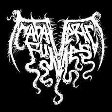 Cadaveric Fumes Music Discography