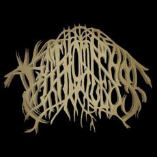 Fathomless Music Discography