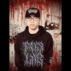 Pus Lab Music Discography