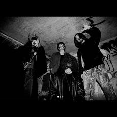 Dollhaver Music Discography