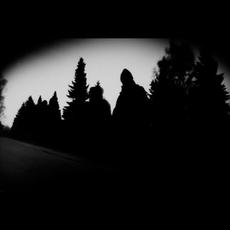 Seagulls Insane and Swans Deceased Mining Out the Void Music Discography
