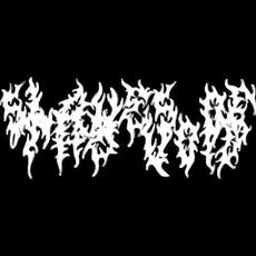Slaves Of The Void Music Discography