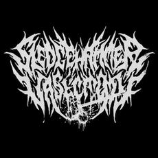 Sledgehammer Vasectomy Music Discography
