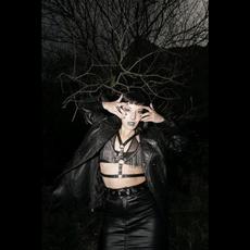 Beta Libre Music Discography