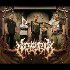 Necrobutcher Music Discography