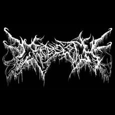 Cerecloth Music Discography