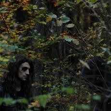 Iiiusion Music Discography