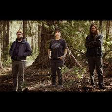 Desiccation Music Discography