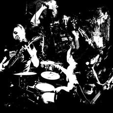 Voids Of Vomit Music Discography