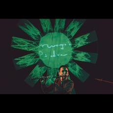 Musgo De Piedra Music Discography