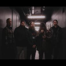 Together to the Stars Music Discography