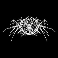 Il silenzio di Dio Music Discography