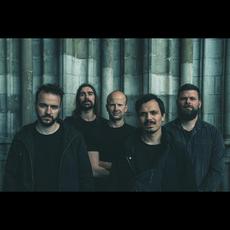 Hippotraktor Music Discography
