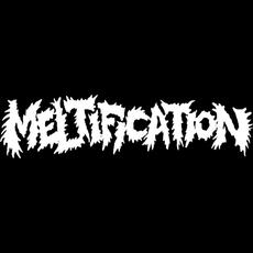 Meltification Music Discography
