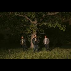 Phase Meridian Music Discography