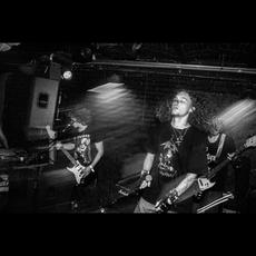 Toad Twister Music Discography