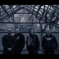 Mardrøm (2) Music Discography