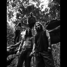 Sangue De Bode Music Discography