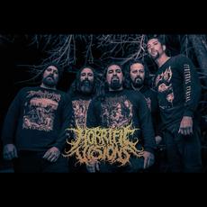 Horrific Visions Music Discography