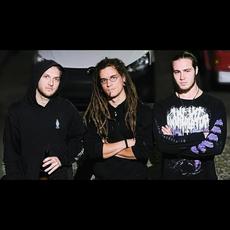 Cult Ov Void Music Discography