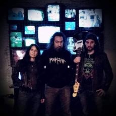 Quinn's Lizard Music Discography