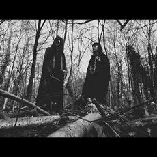 Flesh Libido Music Discography