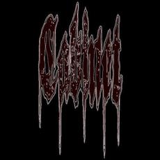 Cabinet (US) Music Discography