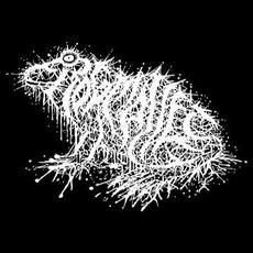 Frog Mallet Music Discography