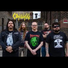 Convulsis Music Discography
