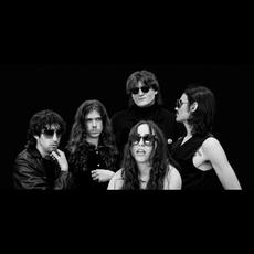 All Night Boogie Band Music Discography
