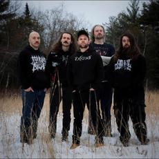 Ethereal Rot Music Discography