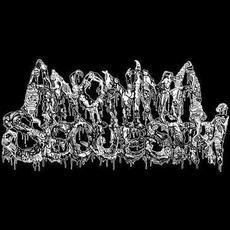 Anonima Sequestri Music Discography