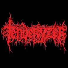 Tenderyzer Music Discography