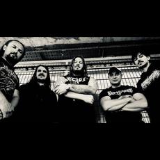 Metuzalem Music Discography
