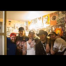 Electric Spoonful Music Discography