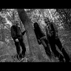 Filth (Sweden) Music Discography