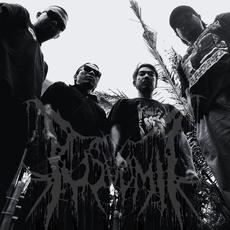 Pus Vomit Music Discography