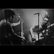 Shark Bait Music Discography