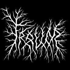 Trauer Music Discography