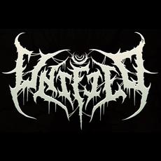Unified Music Discography