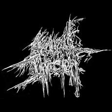 Acausal Intrusion Music Discography