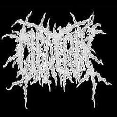 Cicatrix Music Discography
