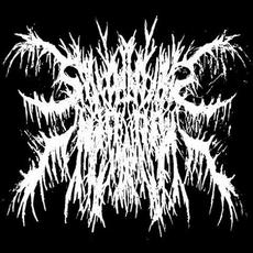 Scars Like Reminders Music Discography