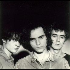 Surfin’ Bichos Music Discography